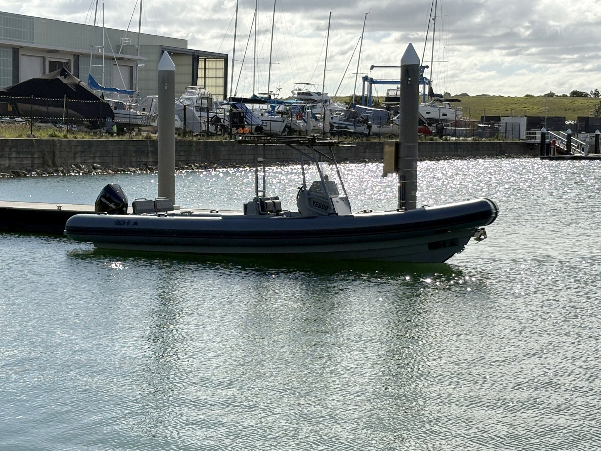 Orca 9